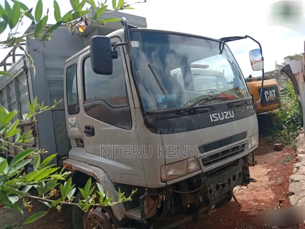 2010 Isuzu FVZ