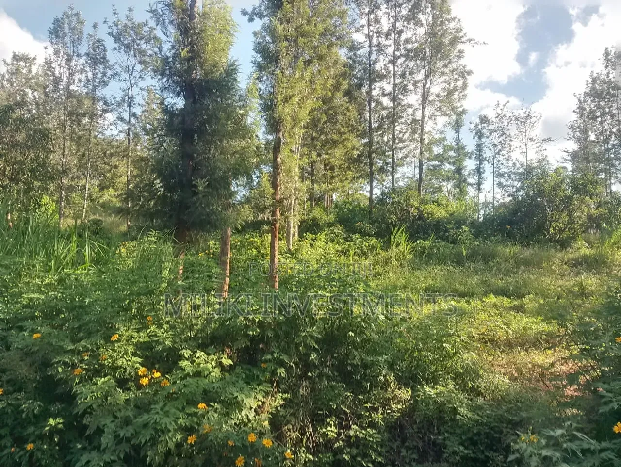 2 Acres on Sale at Murang'a-Kahuho