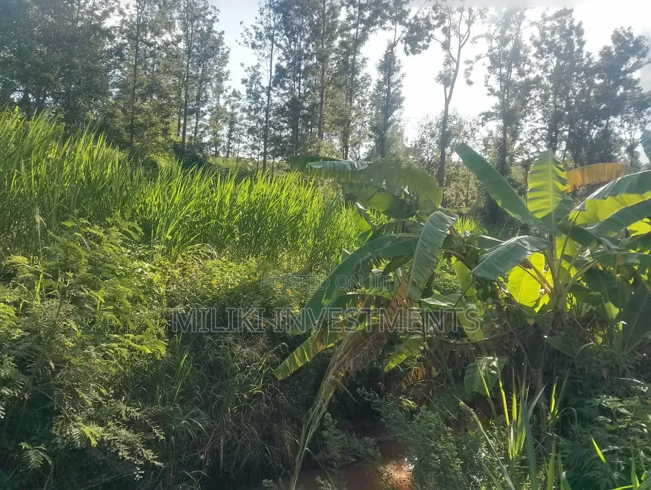 2 Acres on Sale at Murang'a-Kahuho