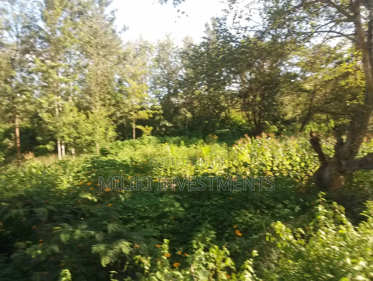 2 Acres on Sale at Murang'a-Kahuho