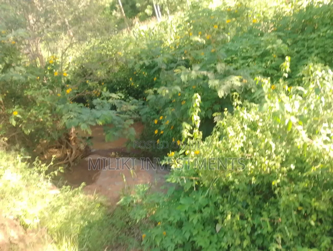2 Acres on Sale at Murang'a-Kahuho