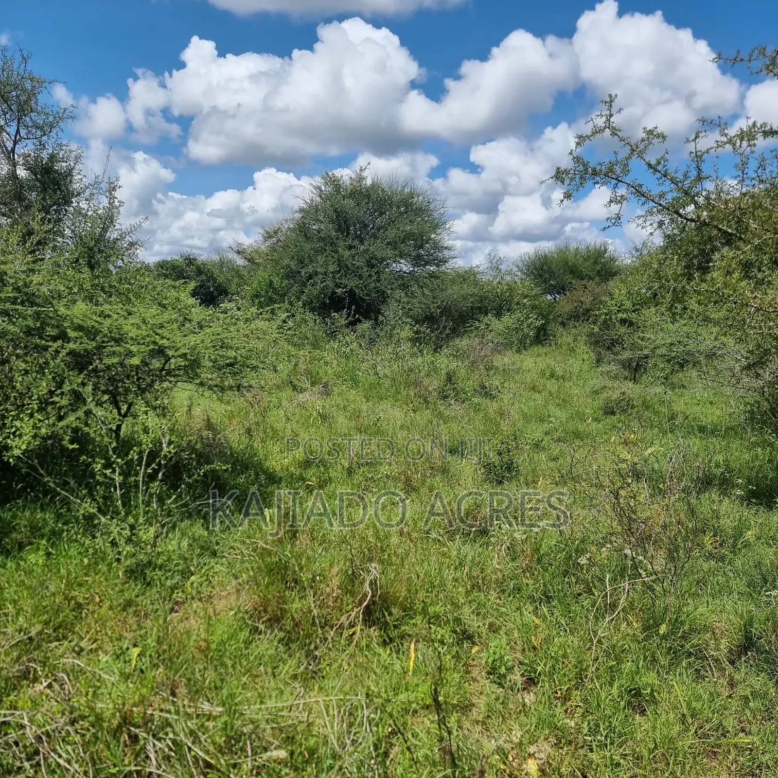 30 Acres Mashuru