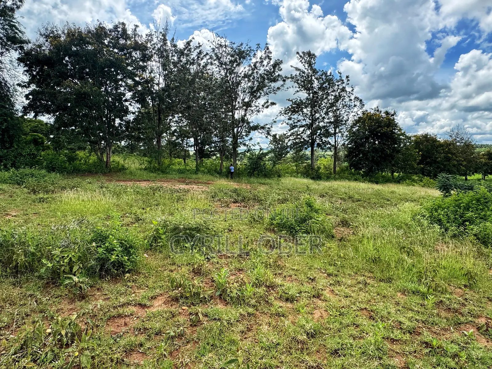 Prime 1/8 Acre Plot for Sale in Thika