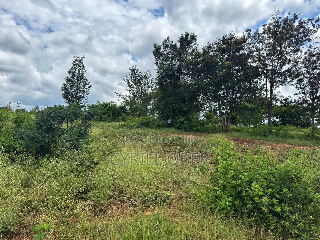 Prime 1/8 Acre Plot for Sale in Thika