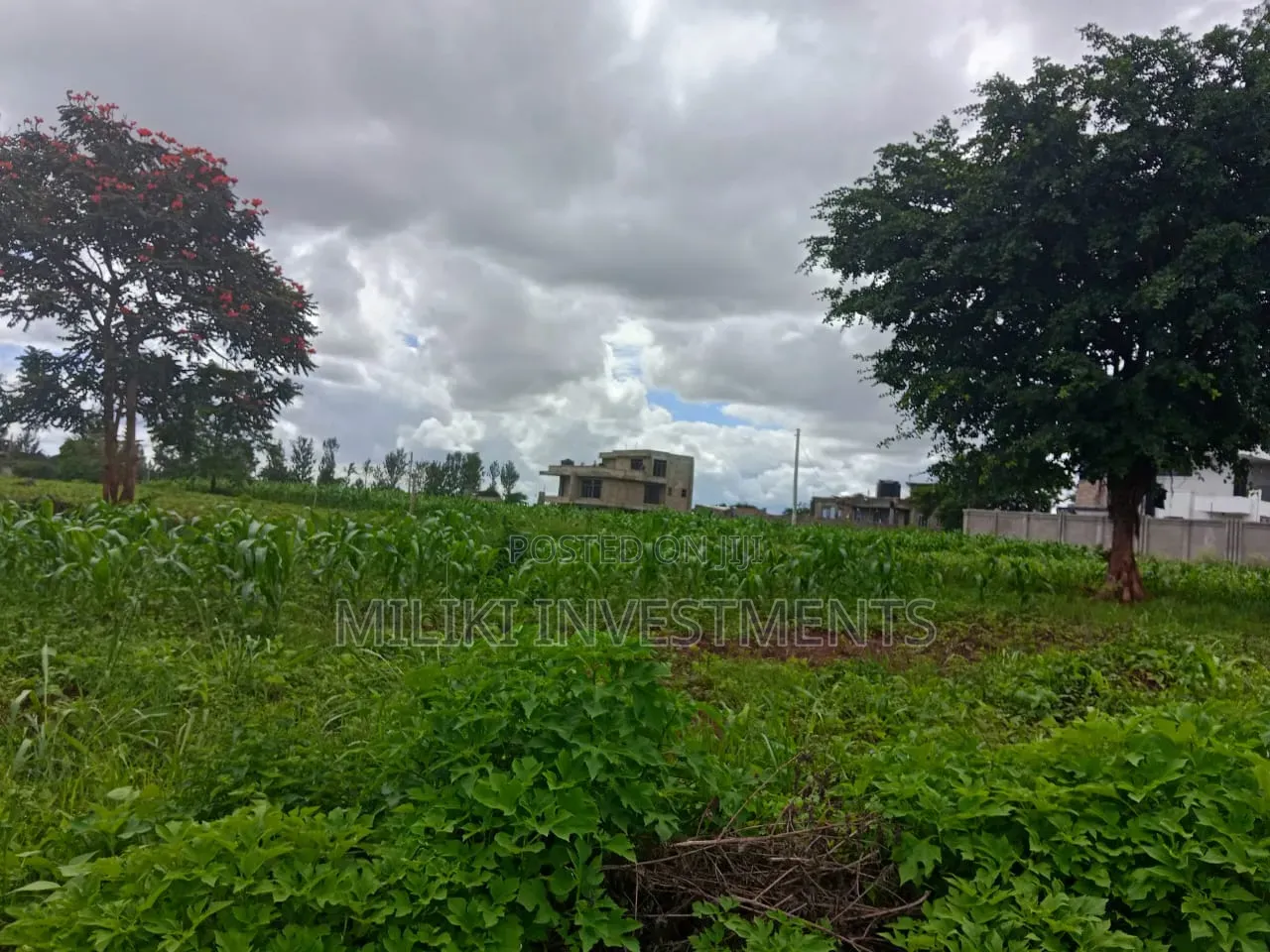 40 by 80 Plot on Sale at Twiga Farm