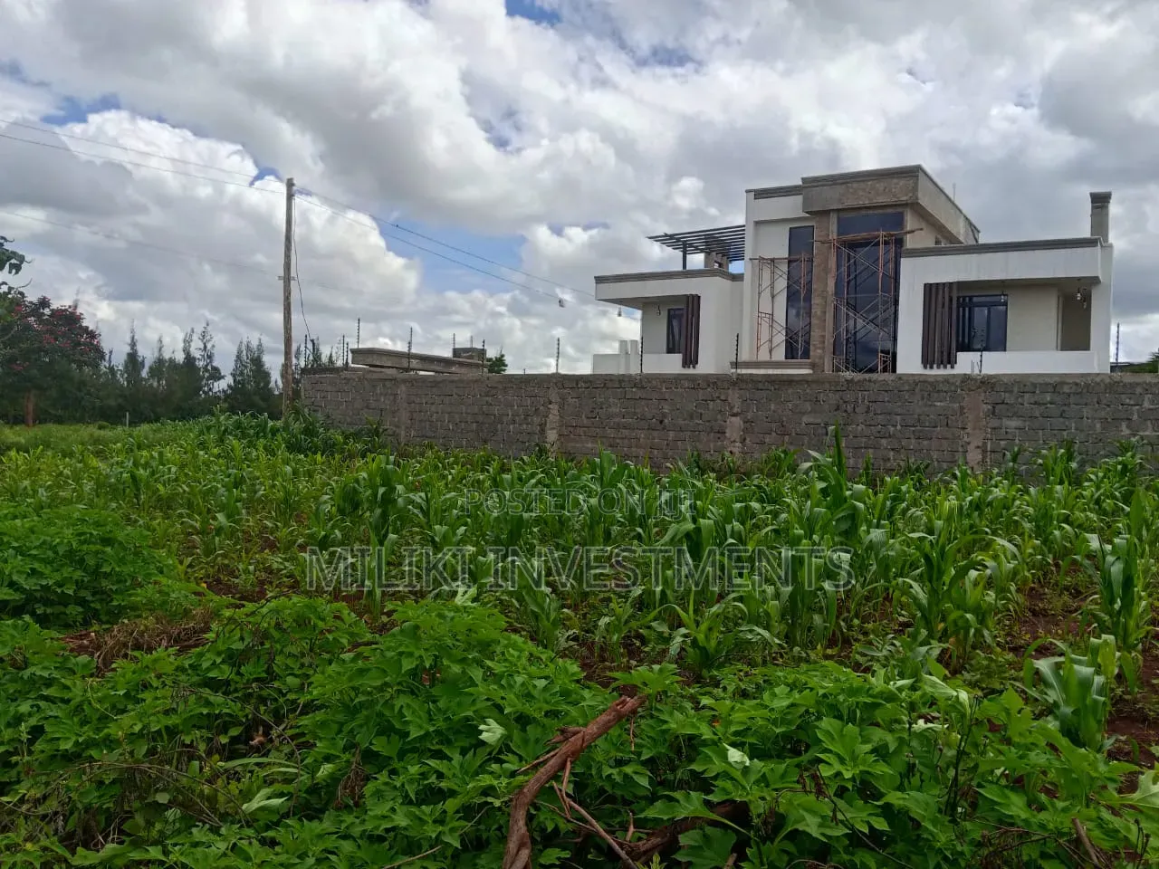40 by 80 Plot on Sale at Twiga Farm