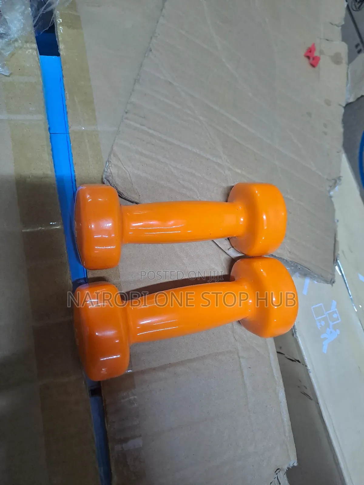 1kg Vinyl Coated Dumbbell for Ladies