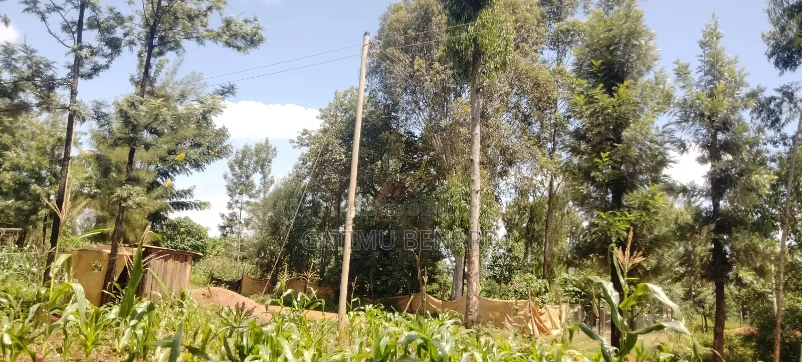 One Acre Land for Sale in Kirinyaga Riagicheru