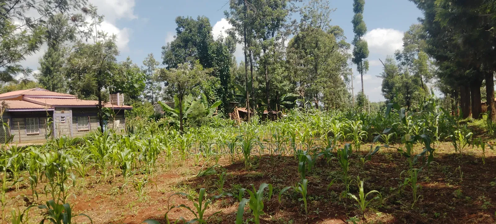 One Acre Land for Sale in Kirinyaga Riagicheru