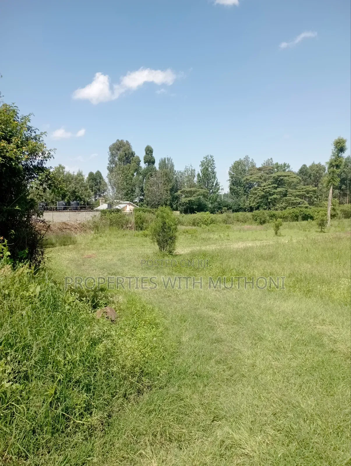 1/2 Acre Land for Sale in Memusi, Ngong.