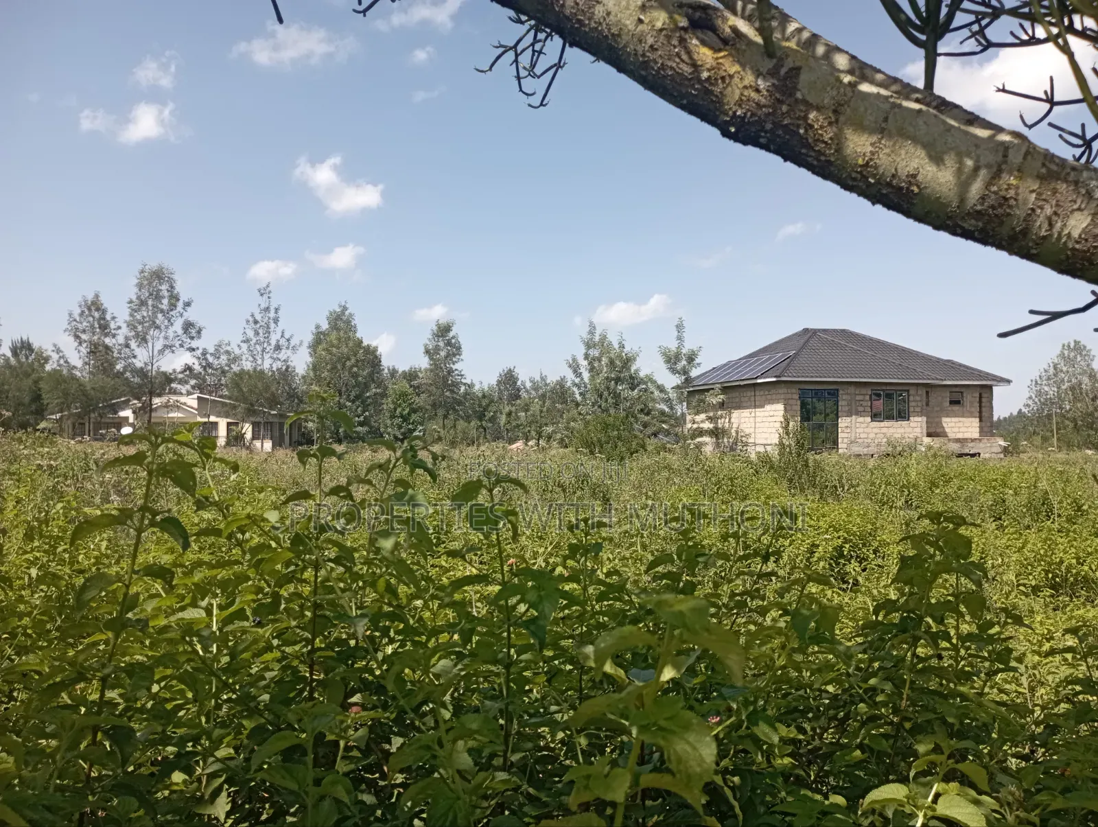 1/2 Acre Land for Sale in Memusi, Ngong.