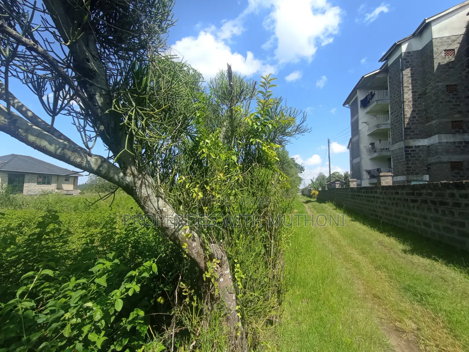 1/2 Acre Land for Sale in Memusi, Ngong.