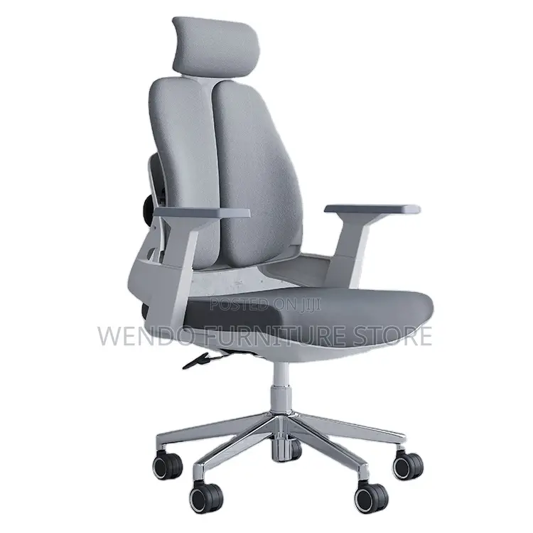 Office Chairs; Orthopedic Executive Chair With Dual Backrest