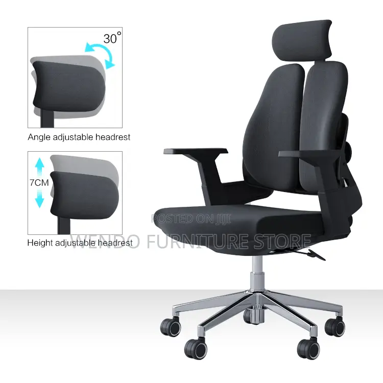 Office Chairs; Orthopedic Executive Chair With Dual Backrest