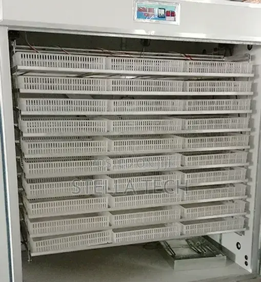 Automatic Eggs Incubator