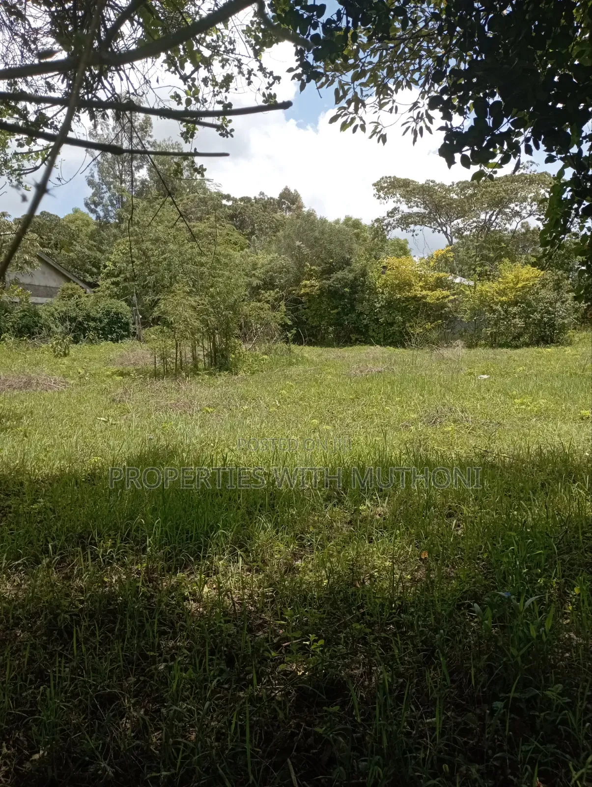 1/2 Acre Land for Sale in Olkeri, Ngong.