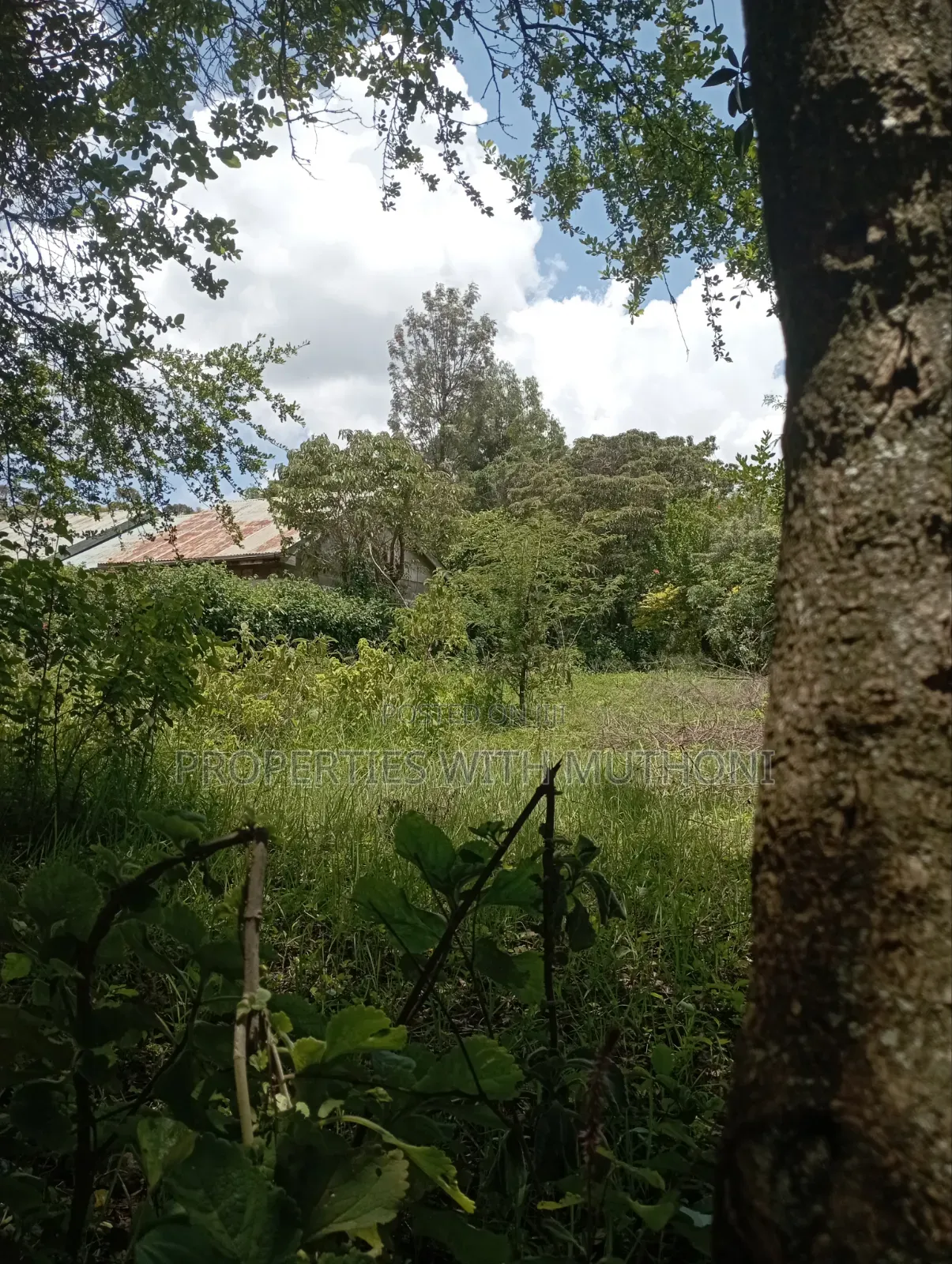 1/2 Acre Land for Sale in Olkeri, Ngong.