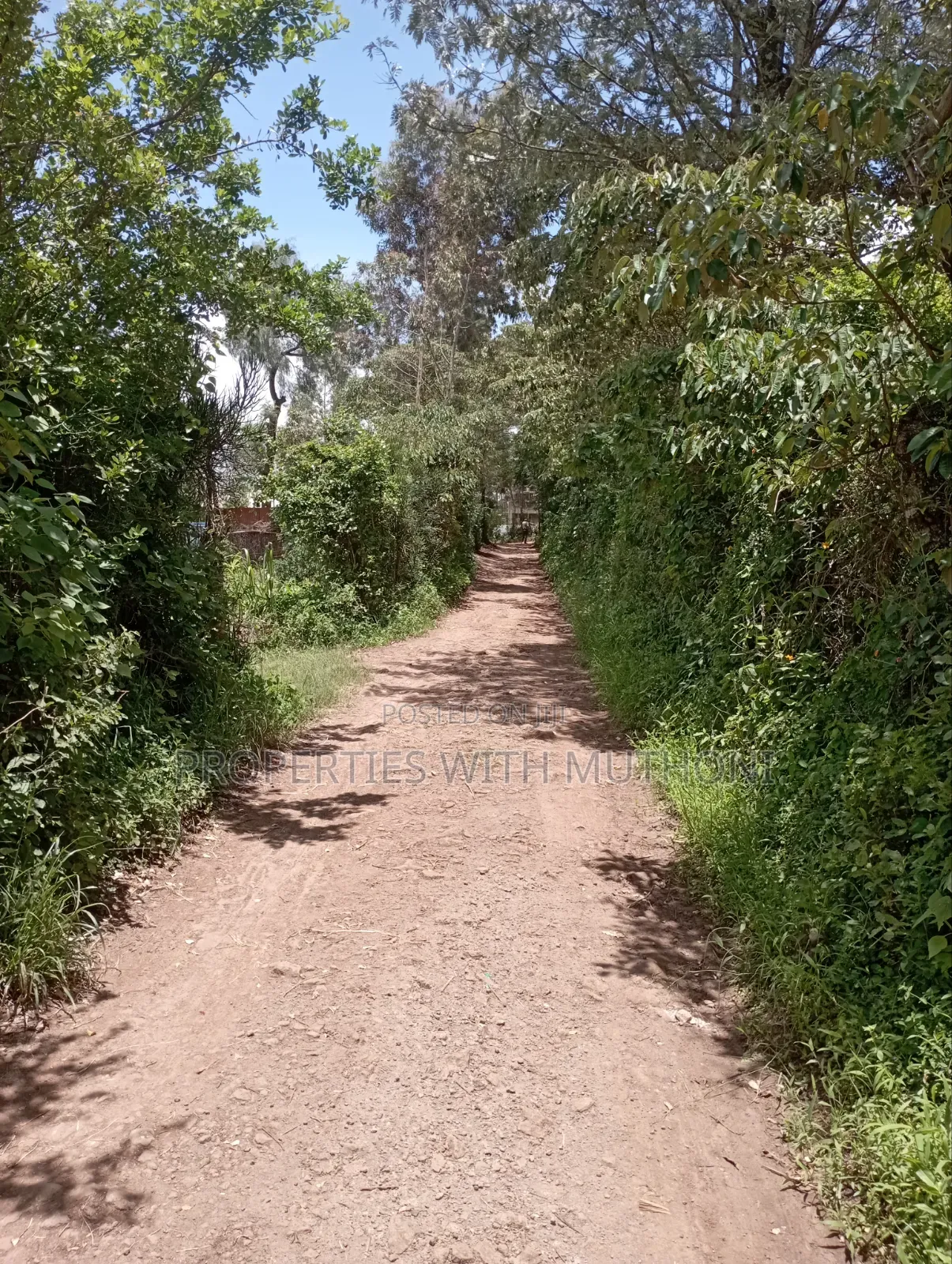 1/2 Acre Land for Sale in Olkeri, Ngong.