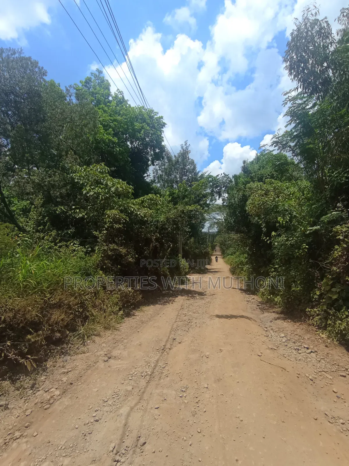 1/2 Acre Land for Sale in Olkeri, Ngong.