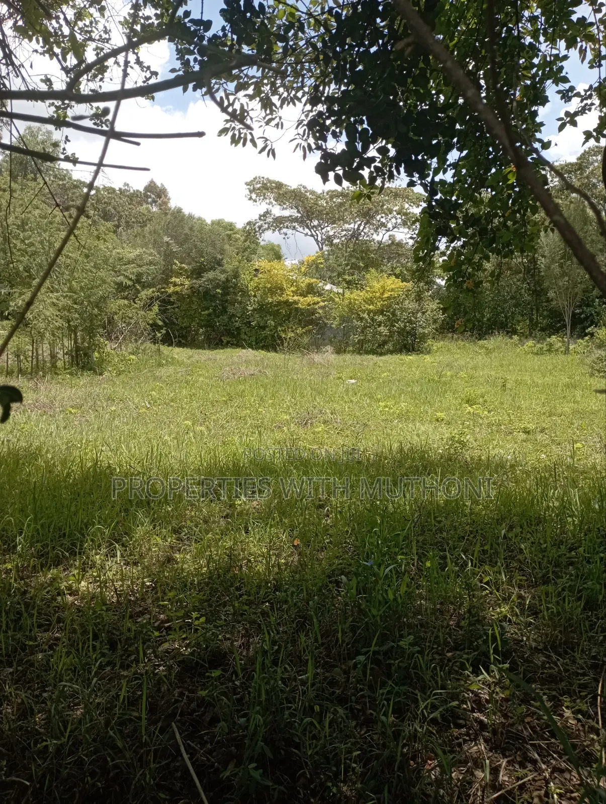1/2 Acre Land for Sale in Olkeri, Ngong.