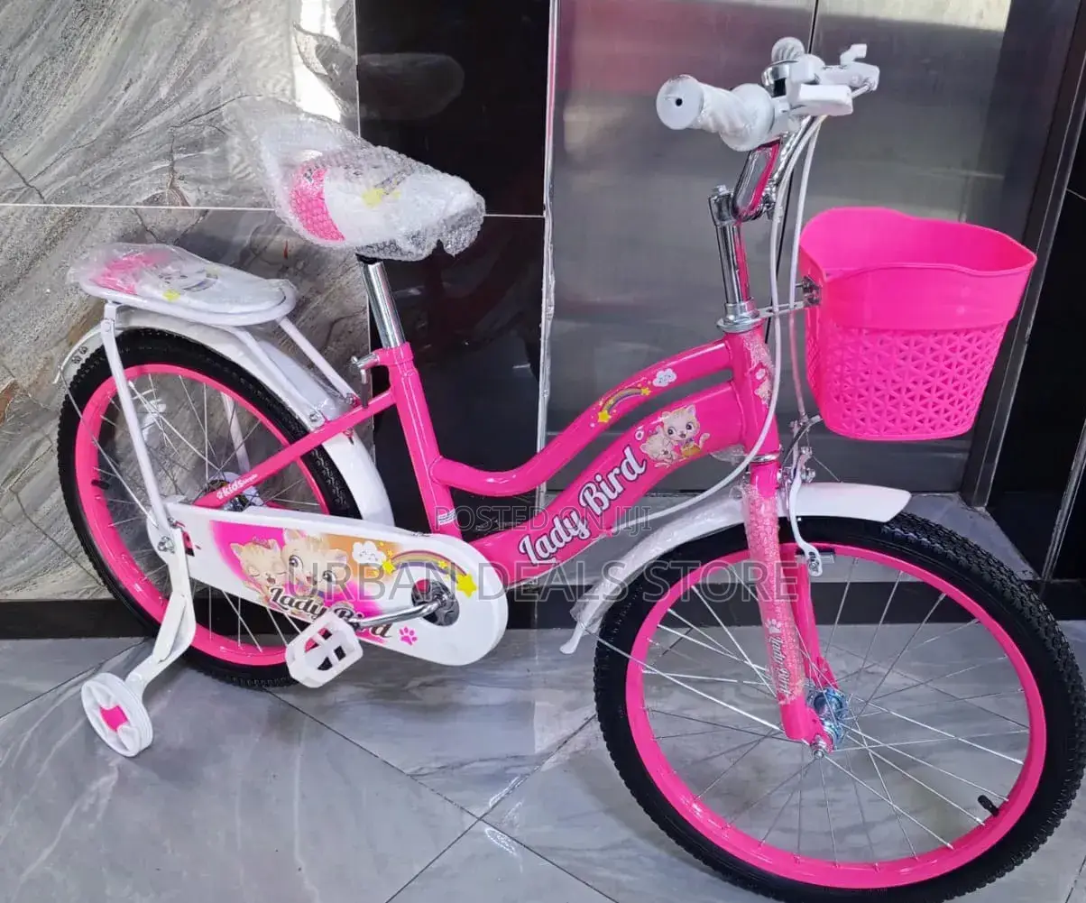 Size 20 Bicycle Without Training Wheels