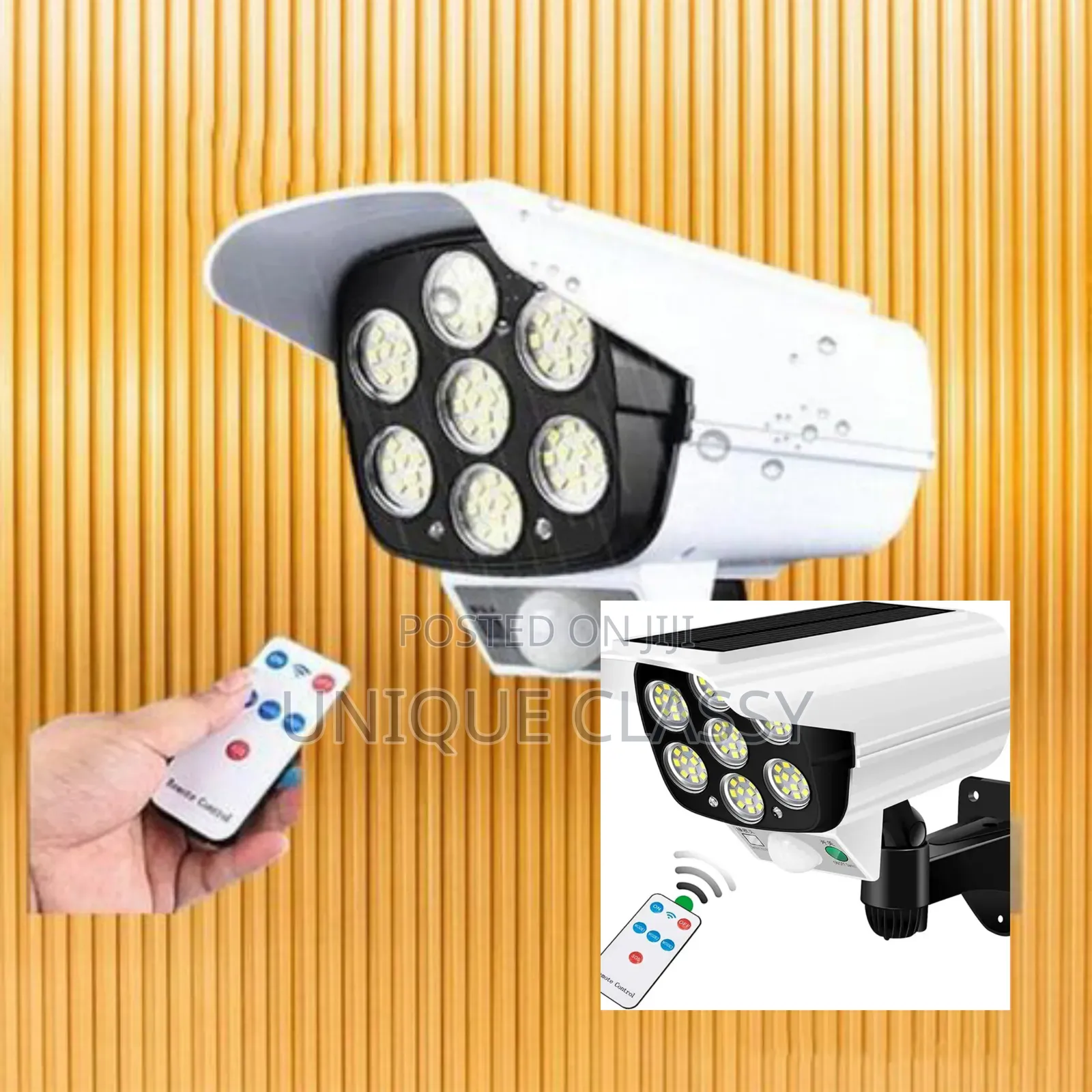 Solar Monitoring Light With Motion Sensor