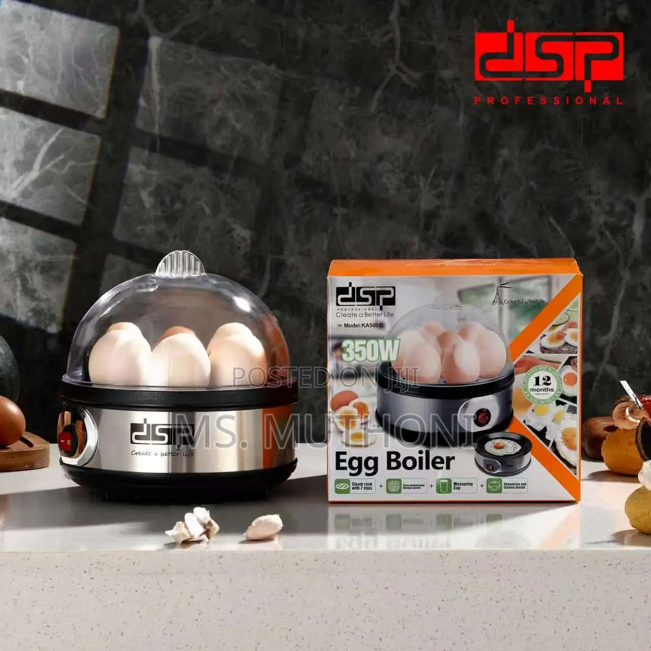 DSP Professional 2-in-1 Electric Egg Boiler / Fryer