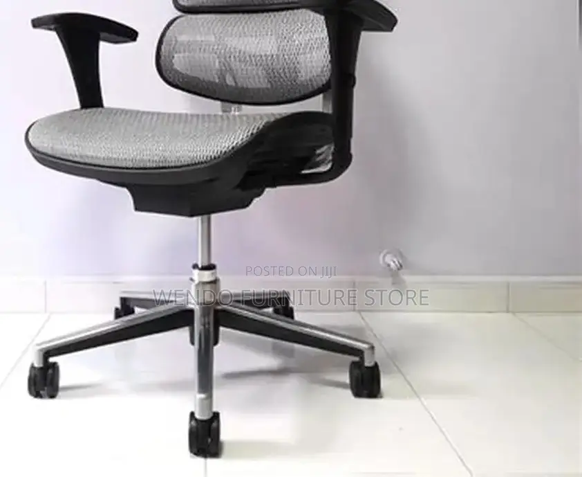 Office Chairs; Orthopedic Executive Ww7u-P Office Chairs