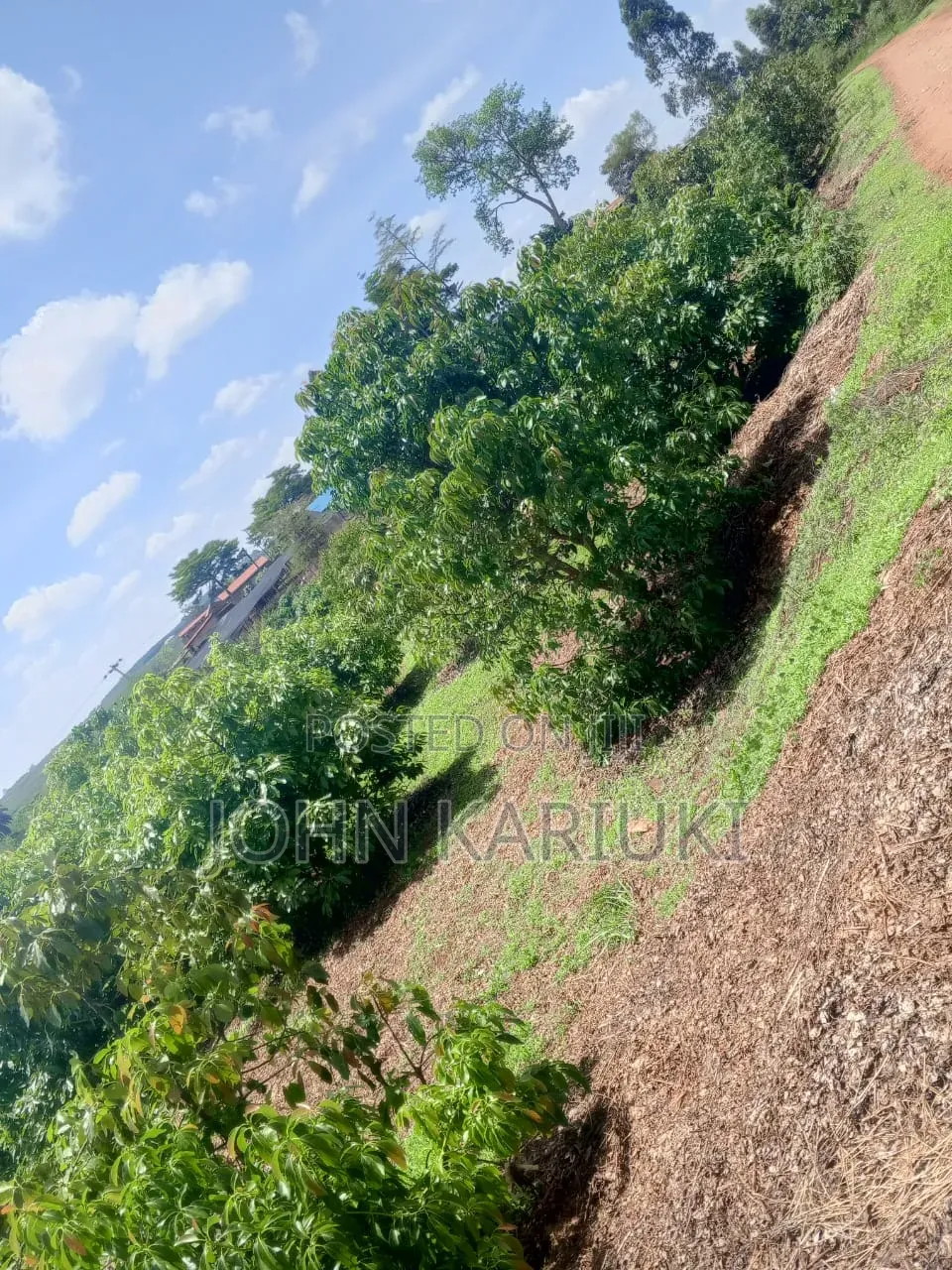 460 Acres of Land in Nakuru With Ready Hass Ovacados 150 Acres Mature