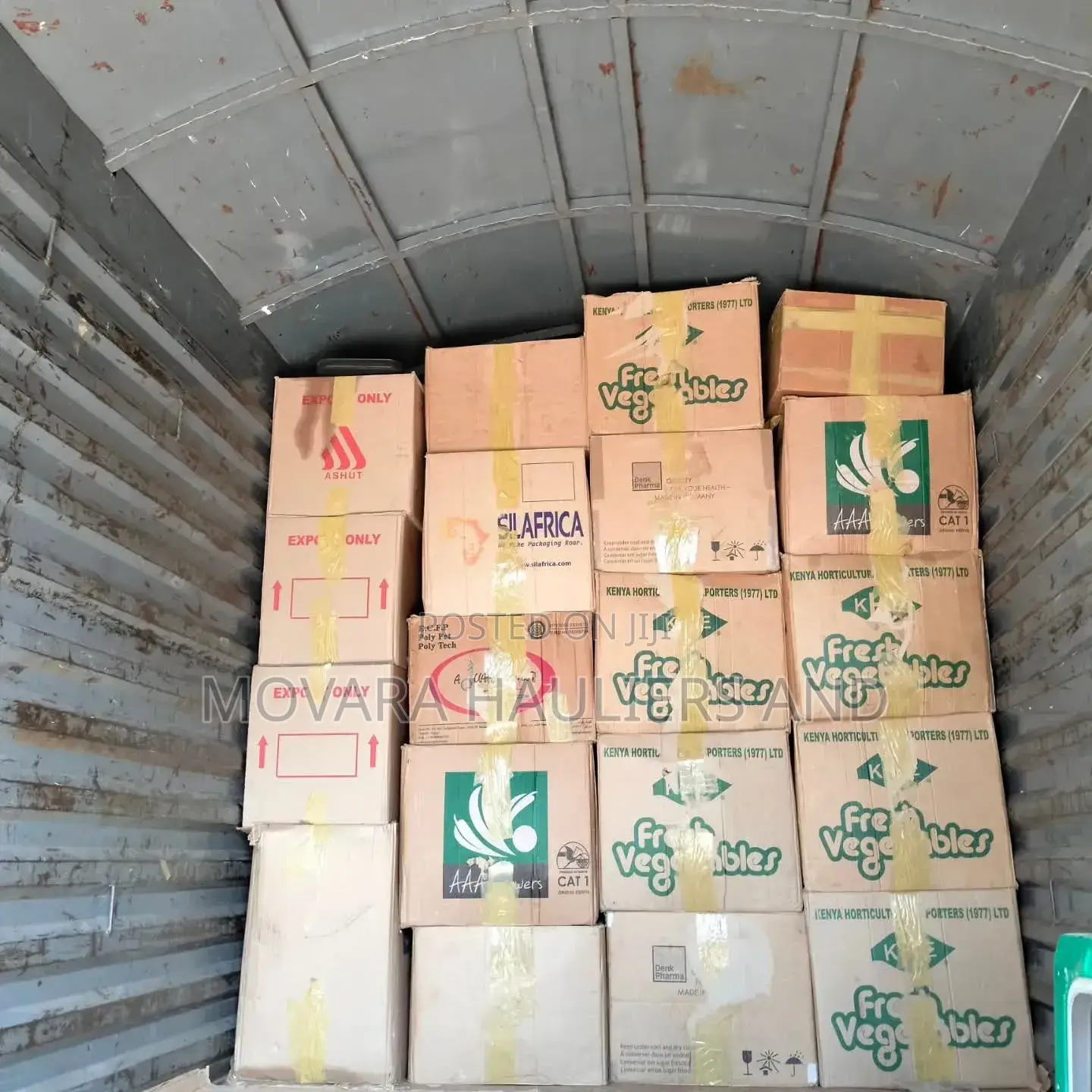 Professional Packers and Movers