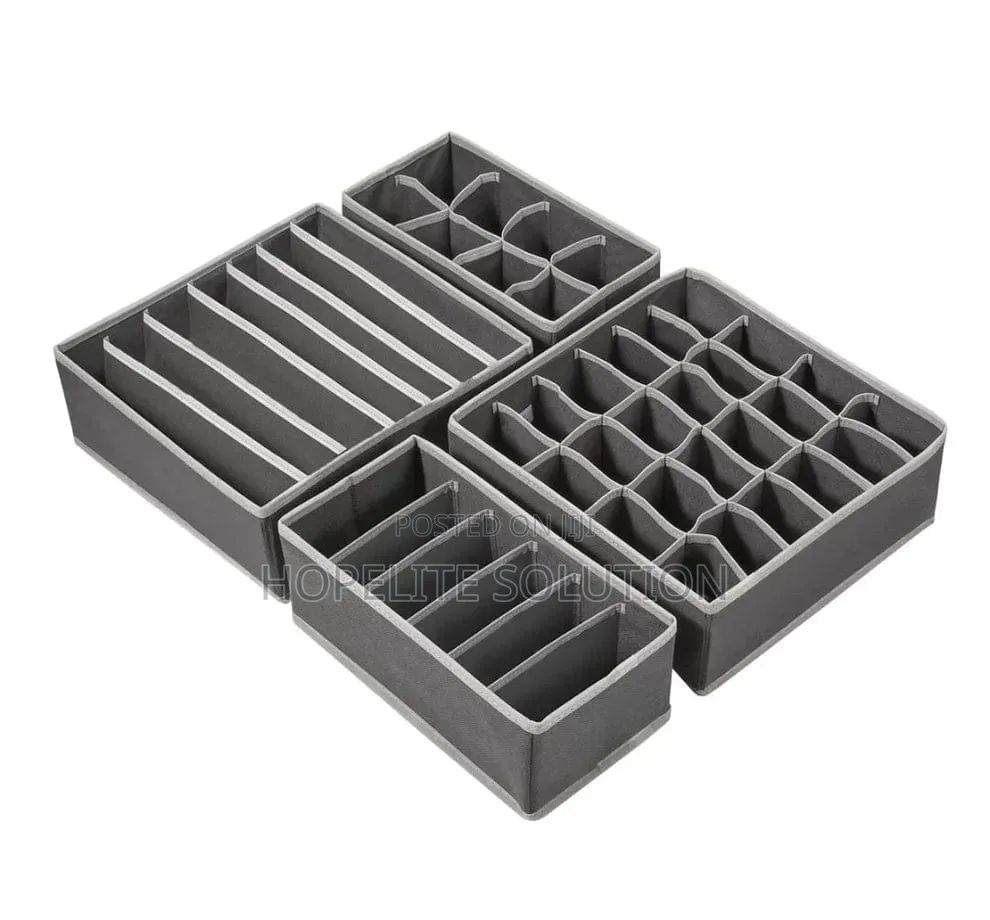 Foldable 4 In1 Under Garment Organizer