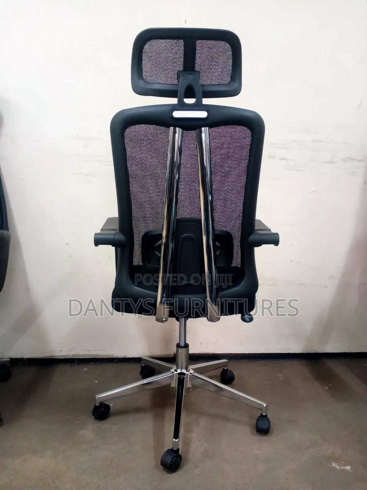 Ergonomic Office Chair/Orthopedic Chair