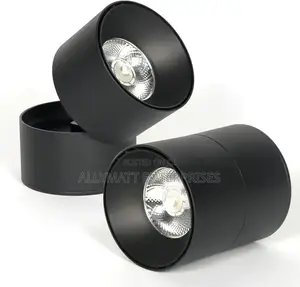 Cob Downlight