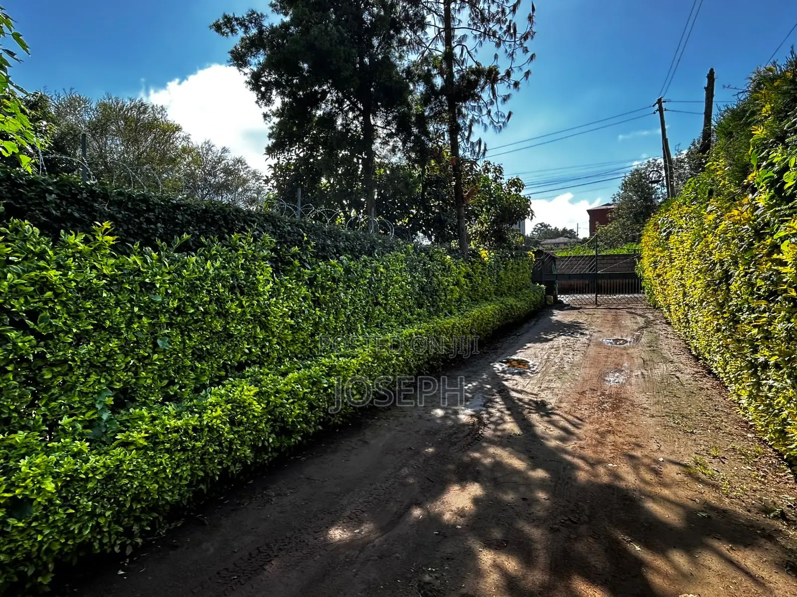 3bdrm Bungalow in Thogoto Gikambura for sale