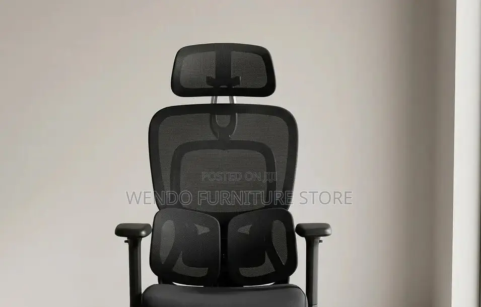 Office Chairs; Orthopedic High Backrest Neemix Office Chairs