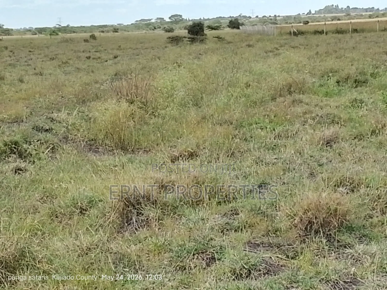 Quick Sale Alert. 2 Adjacent Quarter Acre Plots at KSH Each