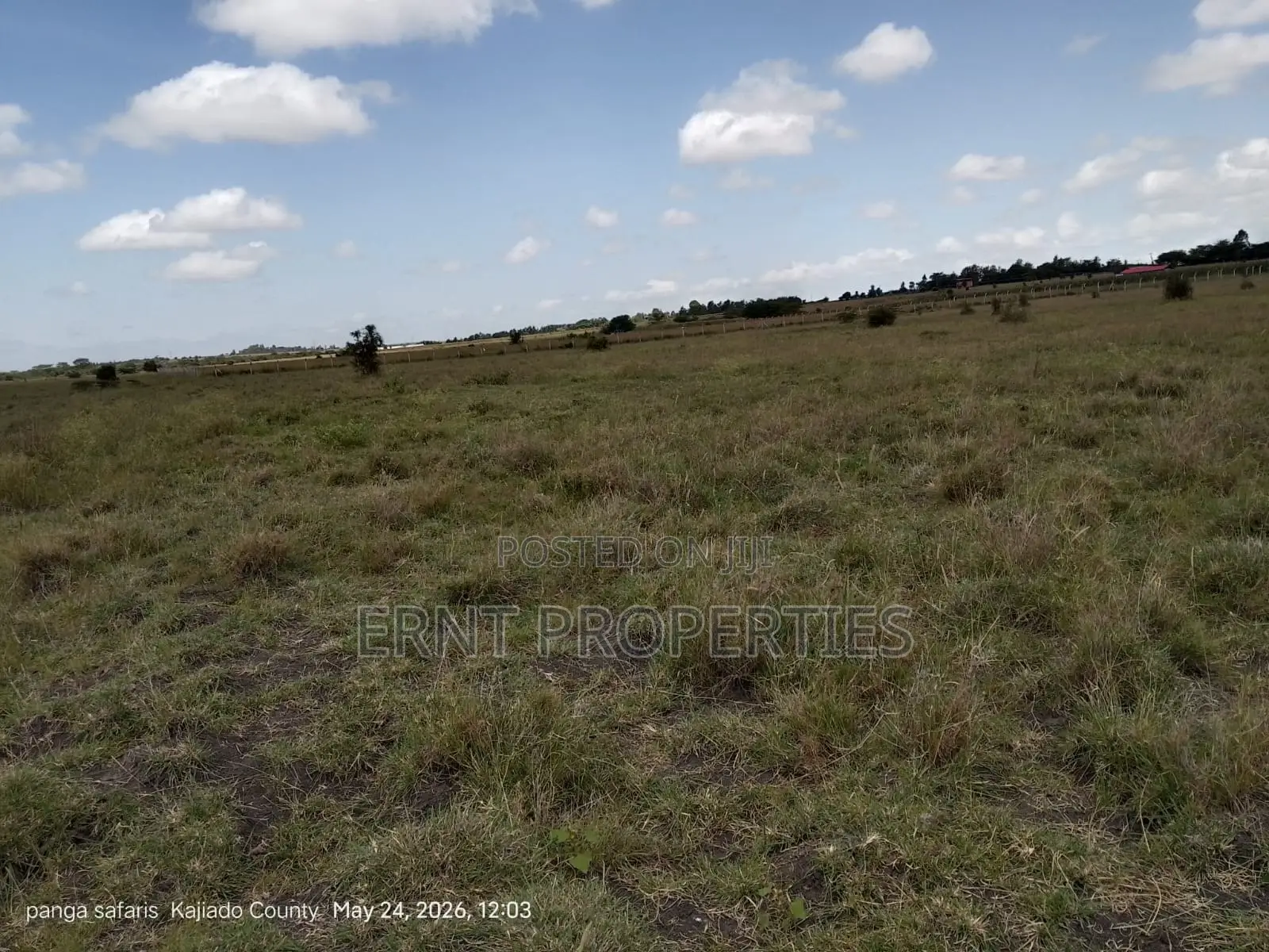 Quick Sale Alert. 2 Adjacent Quarter Acre Plots at KSH Each