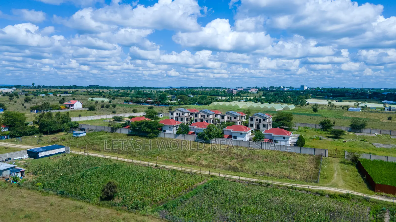 50 by 100 Spacious Plots