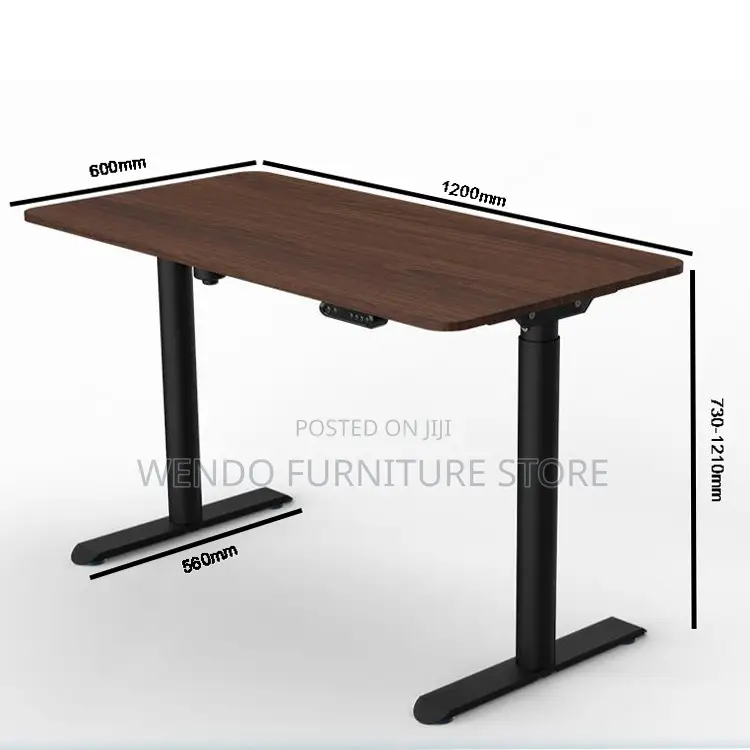 Office Desk; 1.2 Meters Liftable Height Electric Ergonomic Style Desk
