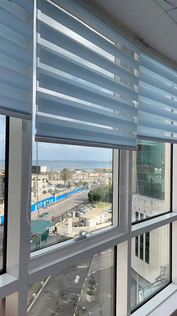 Translucent Zebra Blinds | Sun Filtering Dual Window Roller