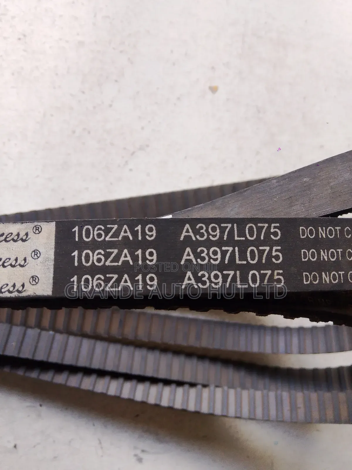Timing Belt 106 Teeth Nissan Sunny B12