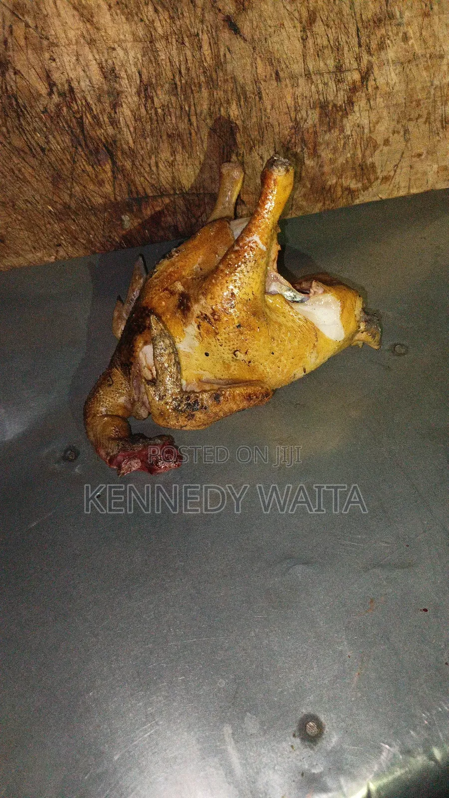 Live and Slaughtered Chicken