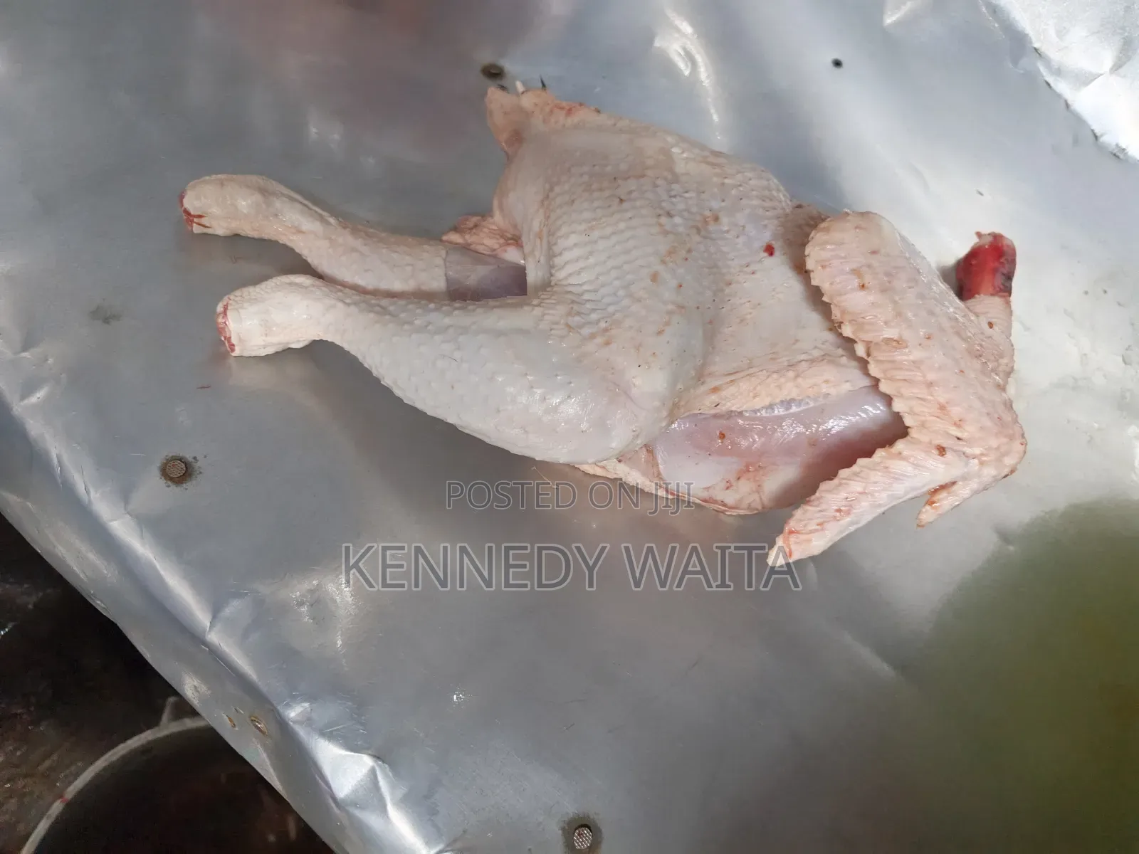 Live and Slaughtered Chicken
