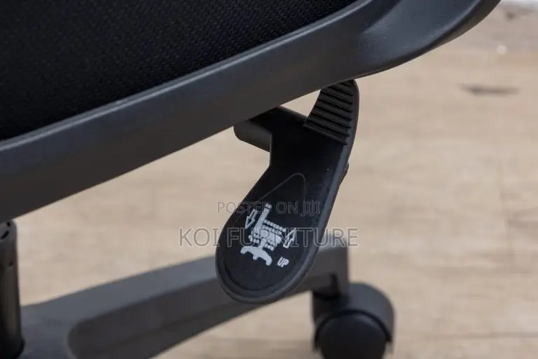 Office Chair : Black Mesh Ergonomic Office Chair -Adjustable Headrest
