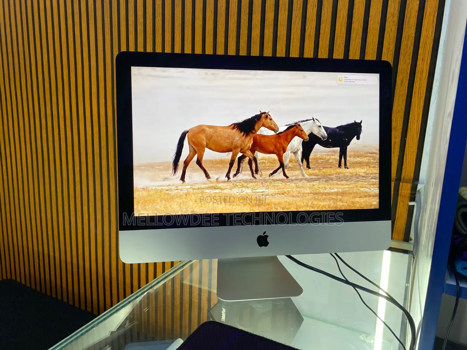 iMac (21.5- Inch,2017)