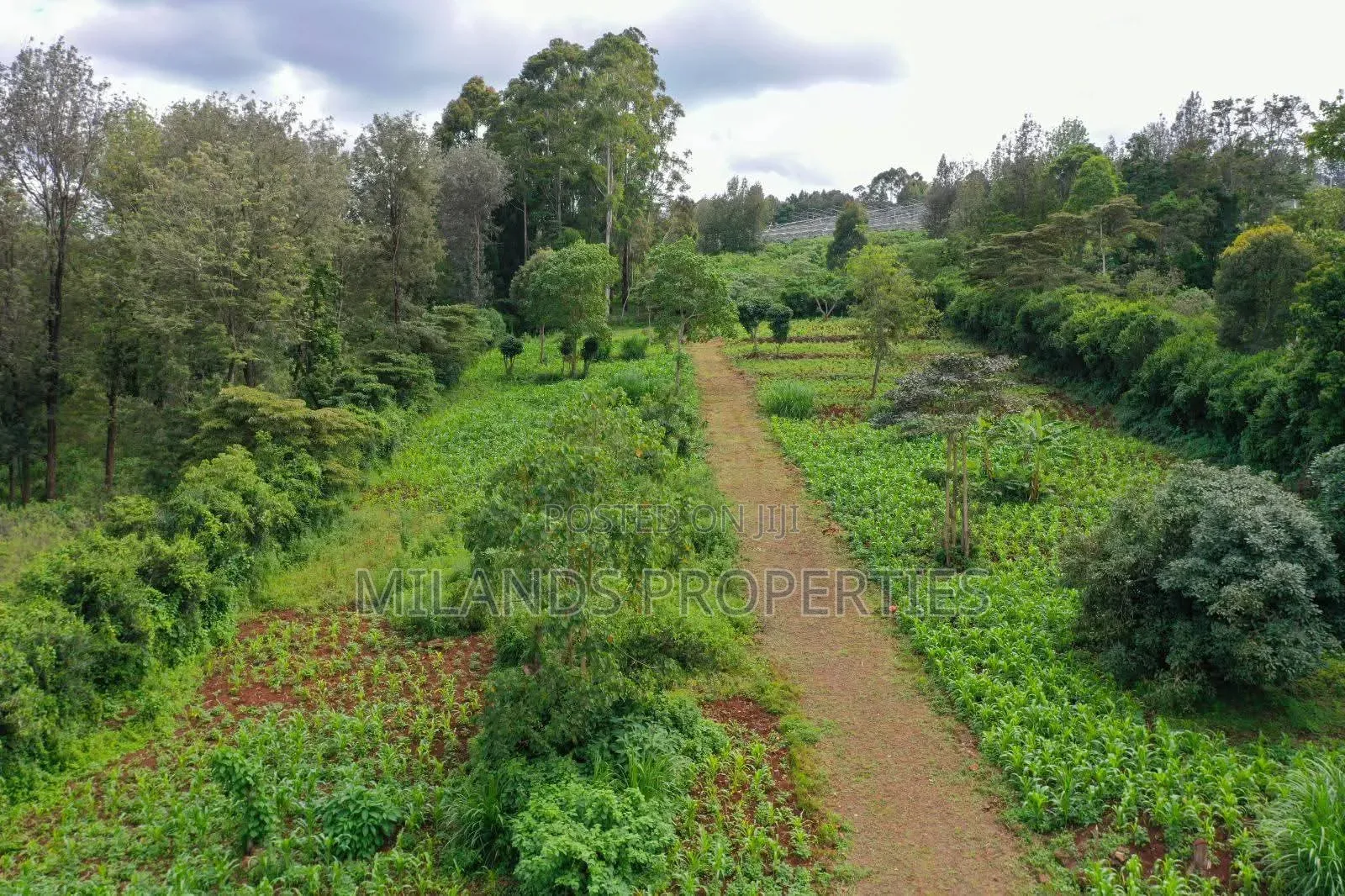Land for Sale Ngong