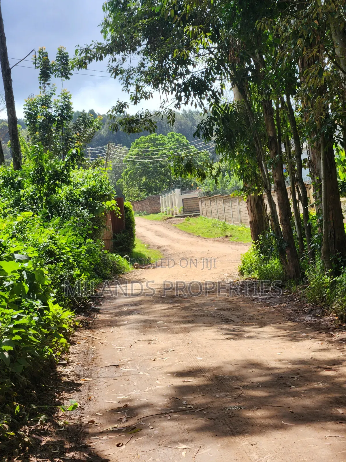 Land for Sale Ngong