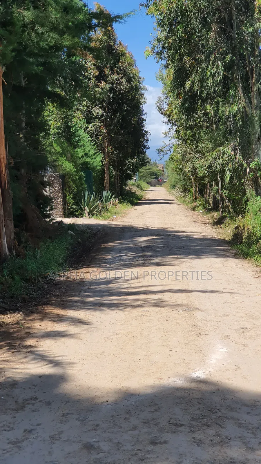 3 Acres in Nanyuki Airfield
