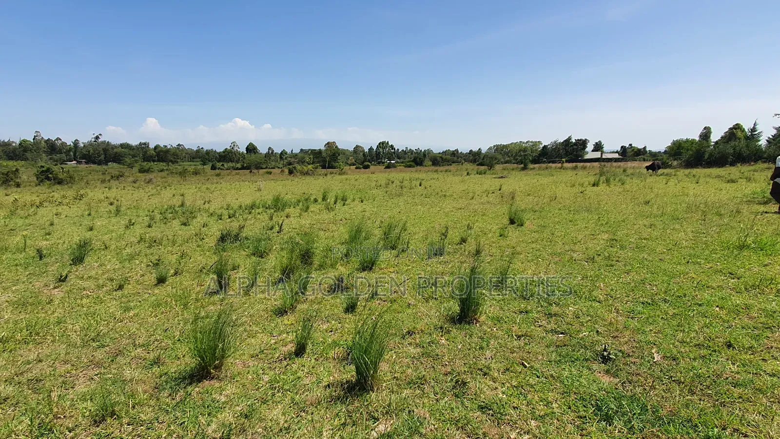 3 Acres in Nanyuki Airfield