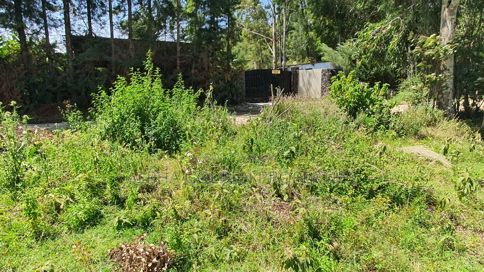 3 Acres in Nanyuki Airfield